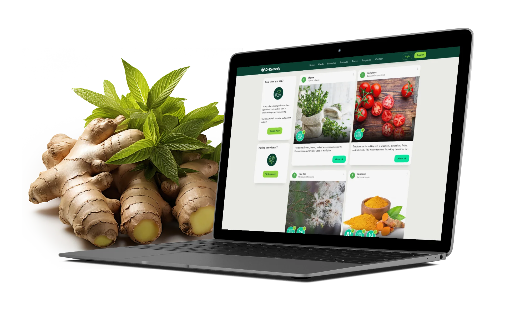 web-design